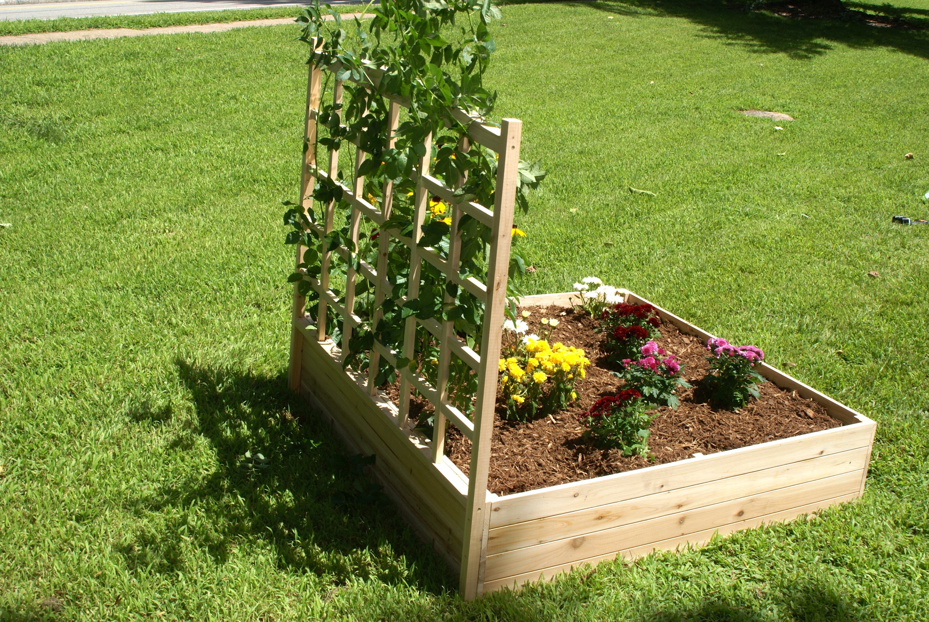 Eden Garden Bed - Eden™ 4'X11