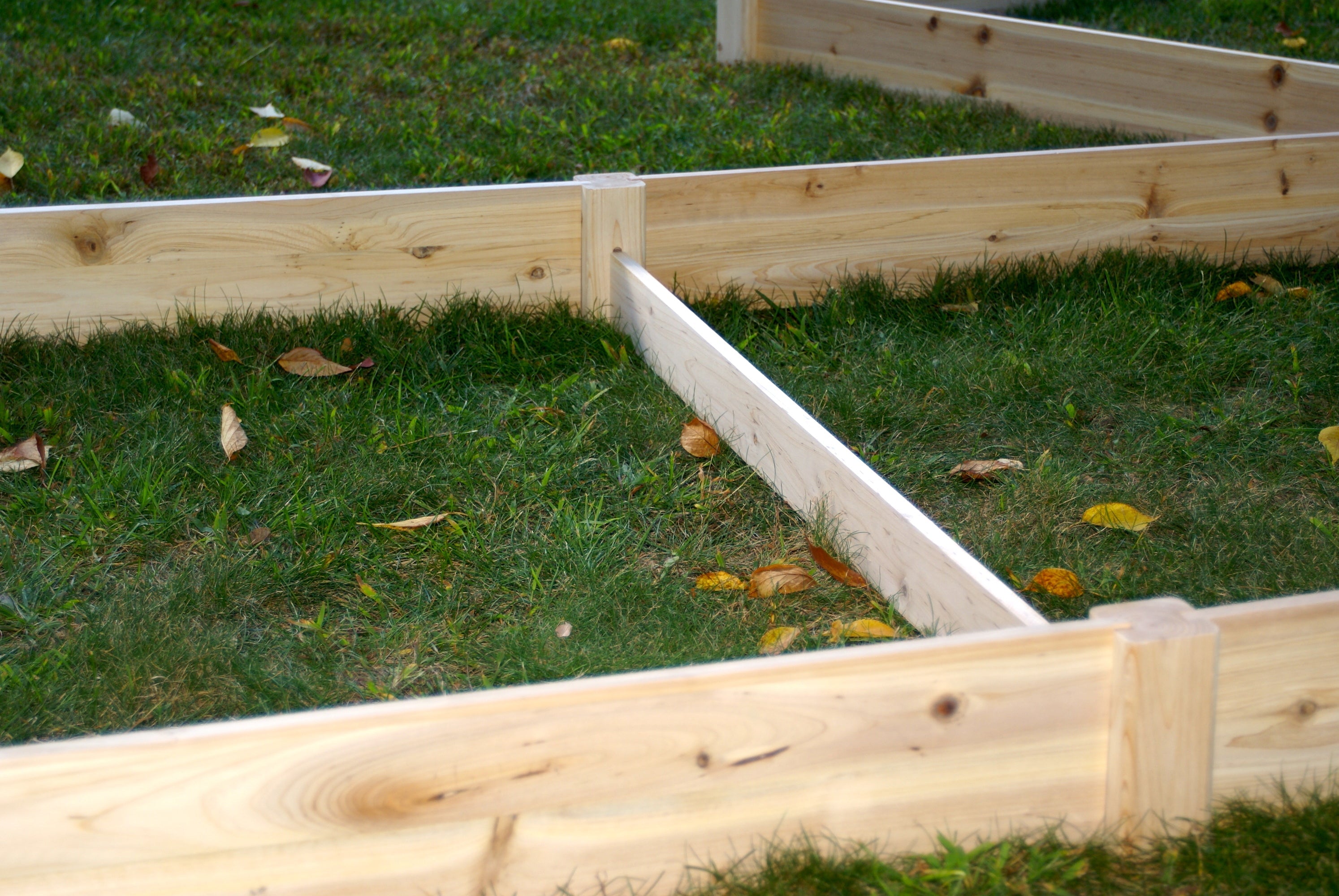 Eden Garden Bed - Eden™ 4'X5
