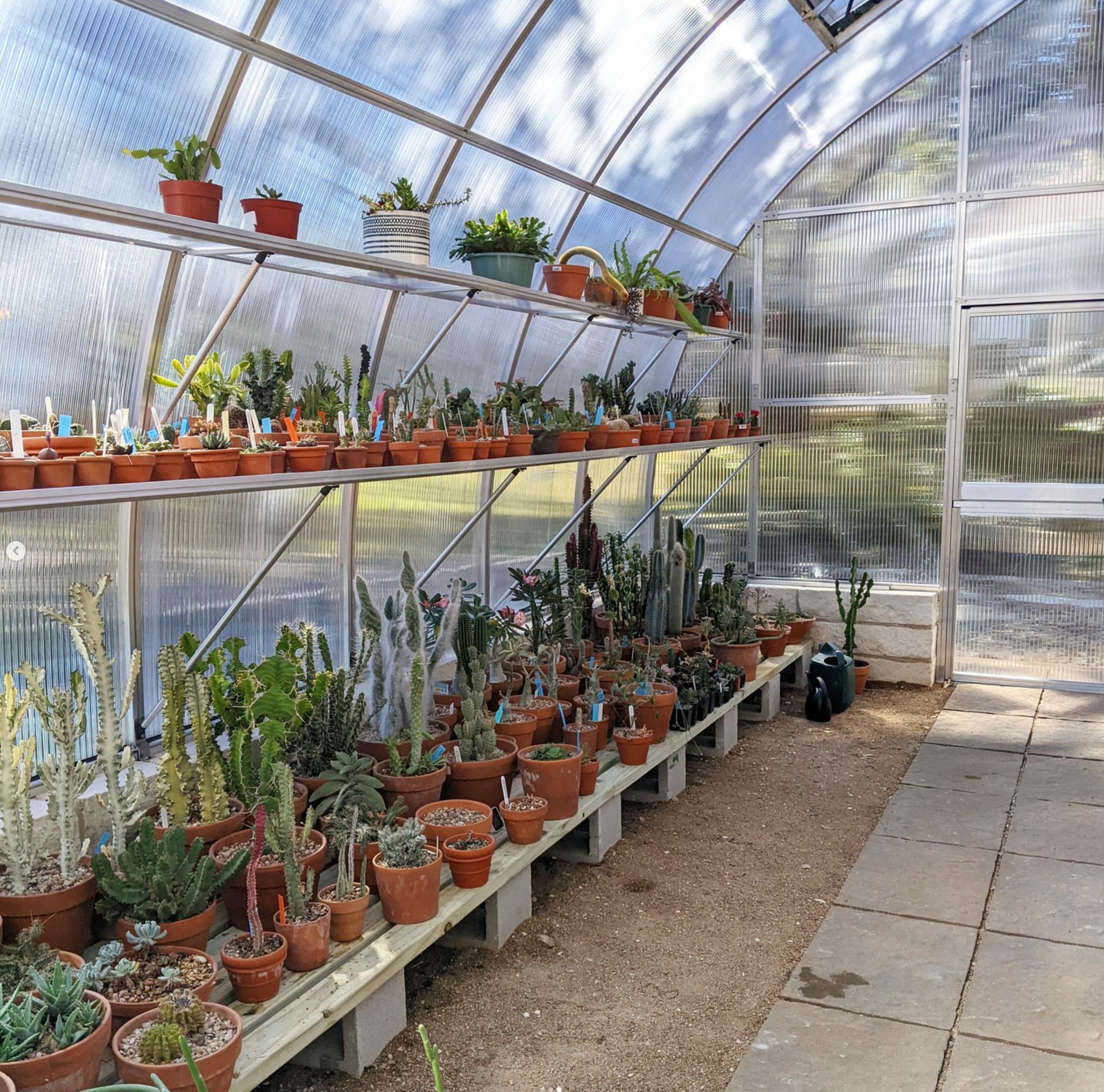 Educational Greenhouse - RIGA XL 6™ 14X9X20.ft Greenhouse/Special Kit