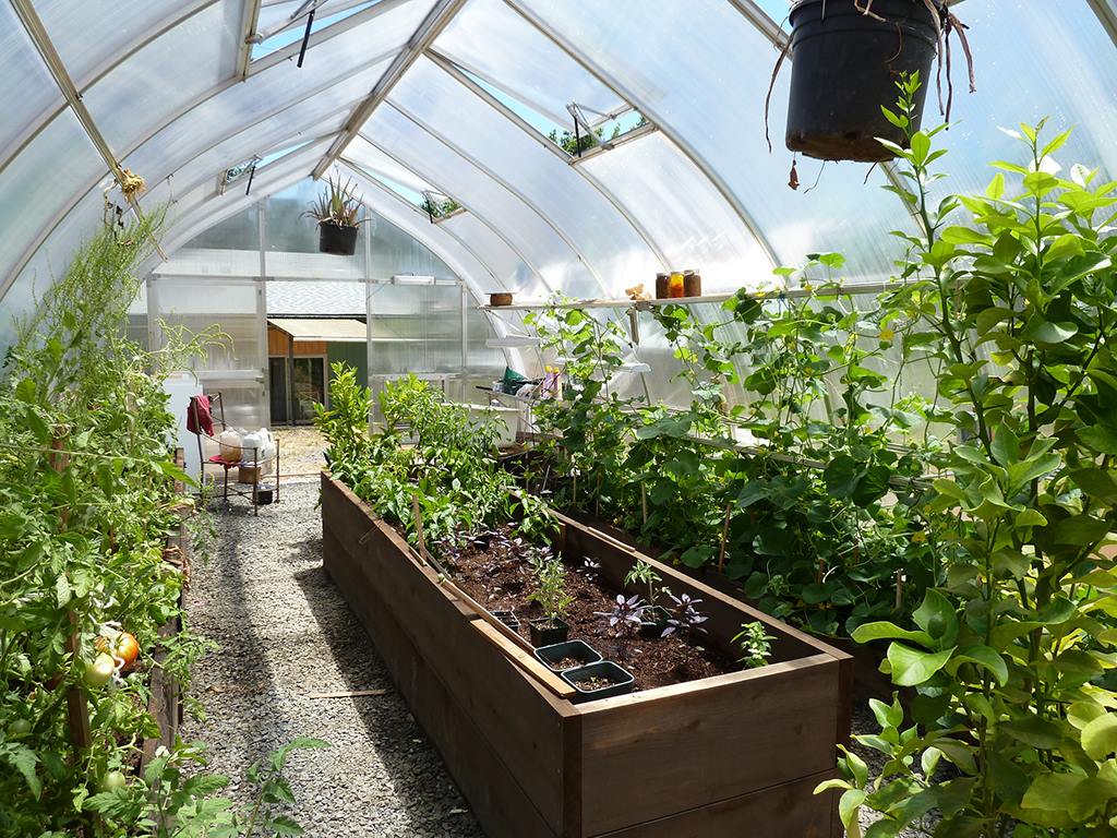 Educational Greenhouse - RIGA XL 9™ 14X9X30.ft Education Greenhouse/Special Kit