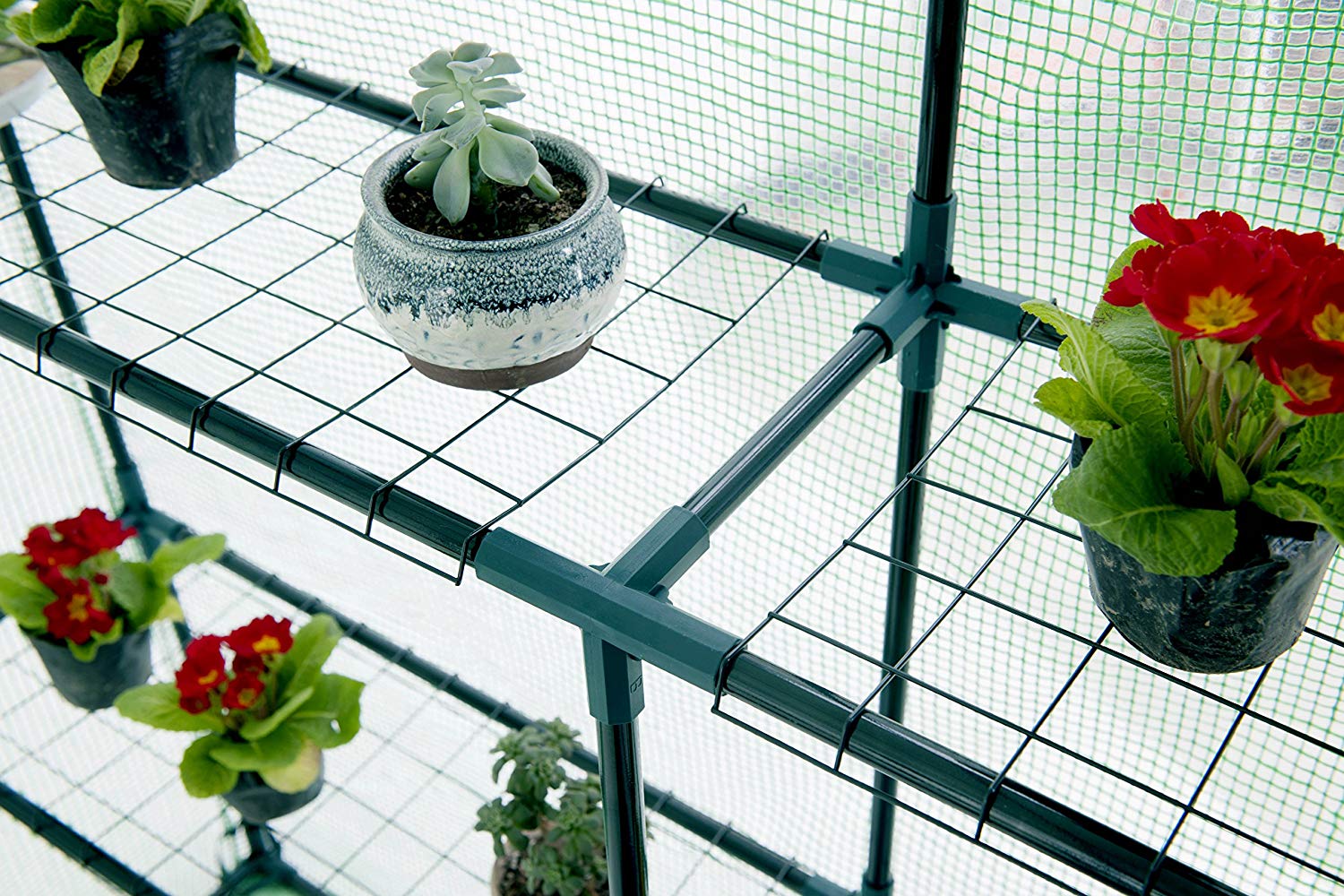 Genesis Greenhouse - Genesis™ 5X6X2.ft Portable Walk In Greenhouse With Heavy Duty Opaqua Cover