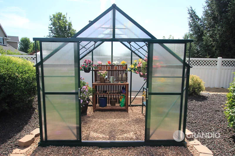 Ascent 8X8X8.ft Greenhouse