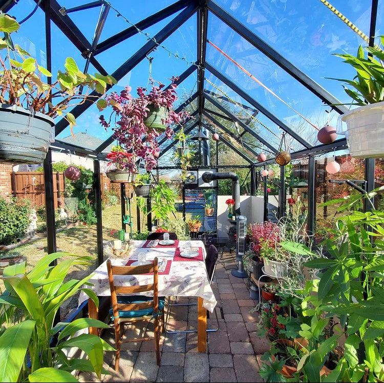 Jr Victorian Greenhouse - Jr Victorian™ 8X8X10.ft VIC 23 Glass Wall Greenhouse