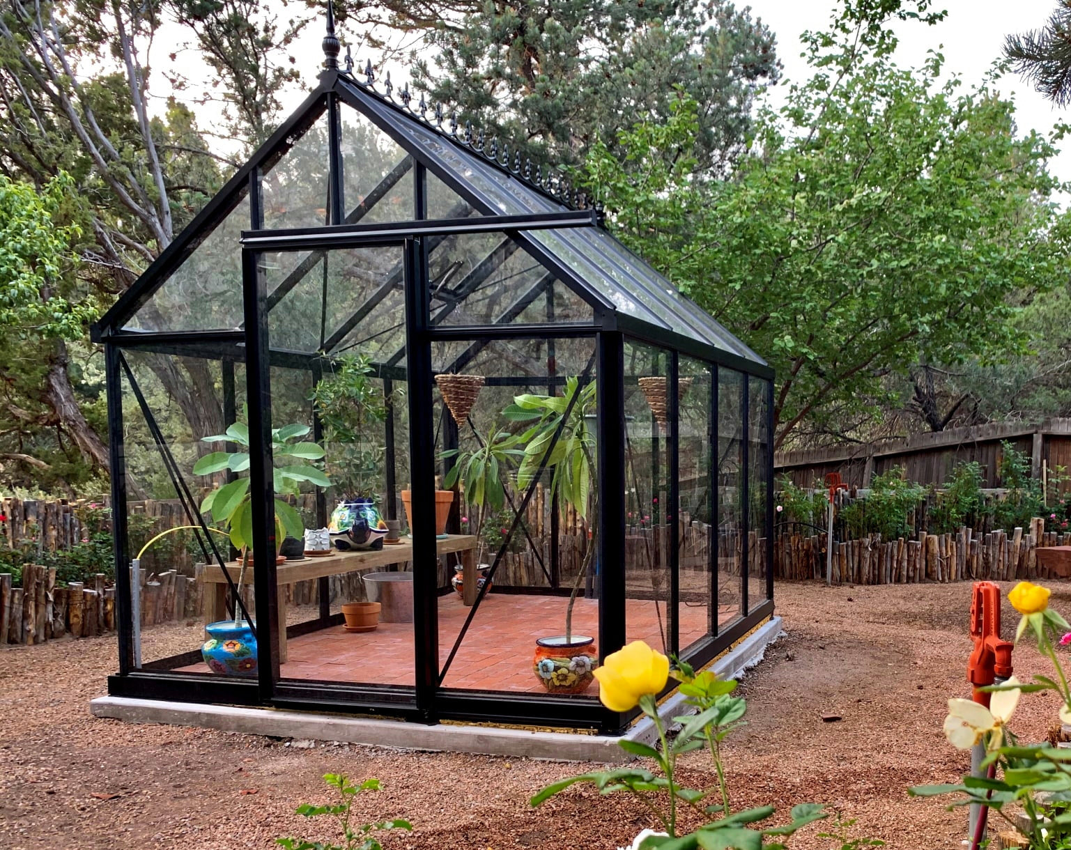 Jr Victorian Greenhouse - Jr Victorian™ 8X8X10.ft VIC 23 Glass Wall Greenhouse