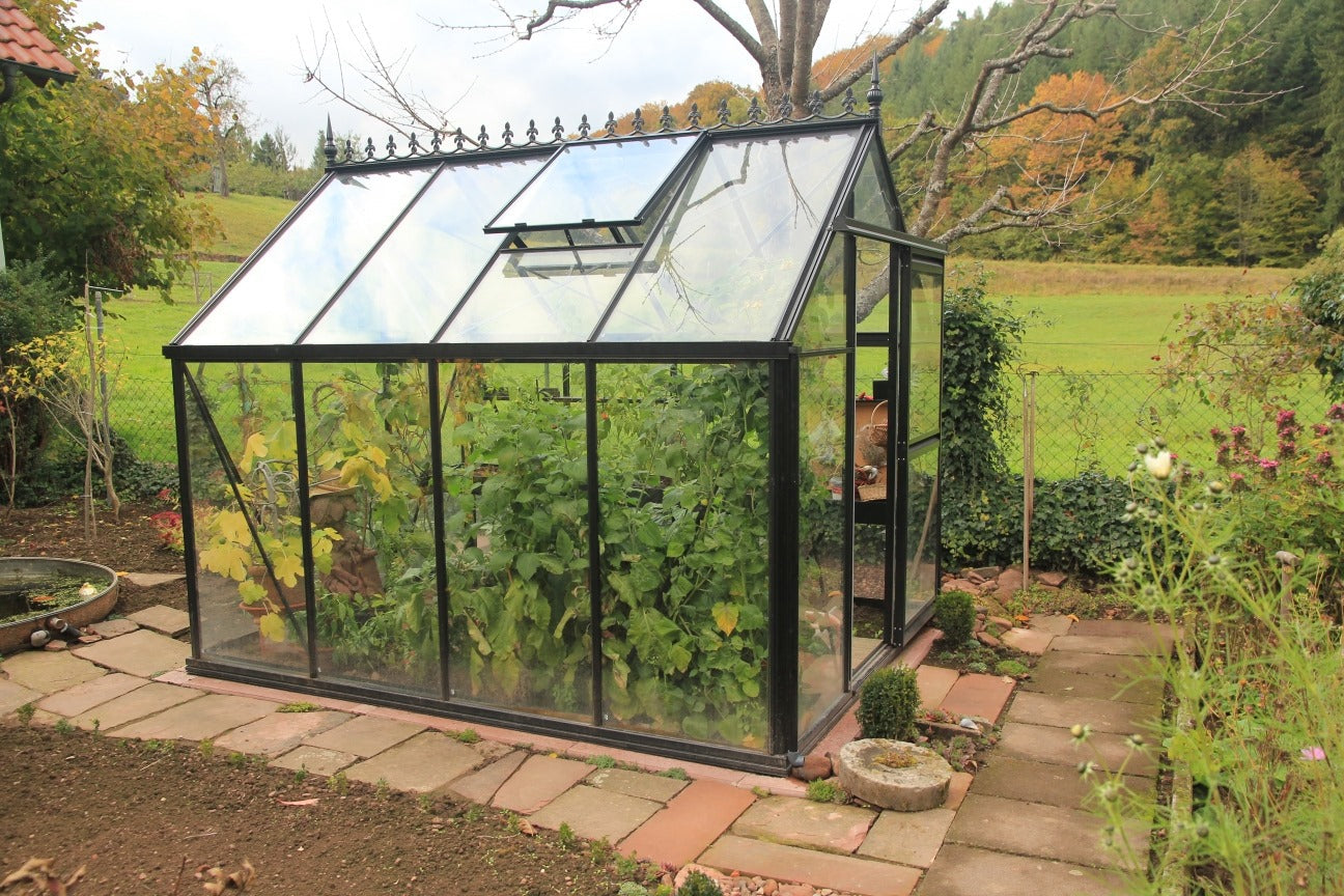 Jr Victorian Greenhouse - Jr Victorian™ 8X8X10.ft VIC 23 Glass Wall Greenhouse