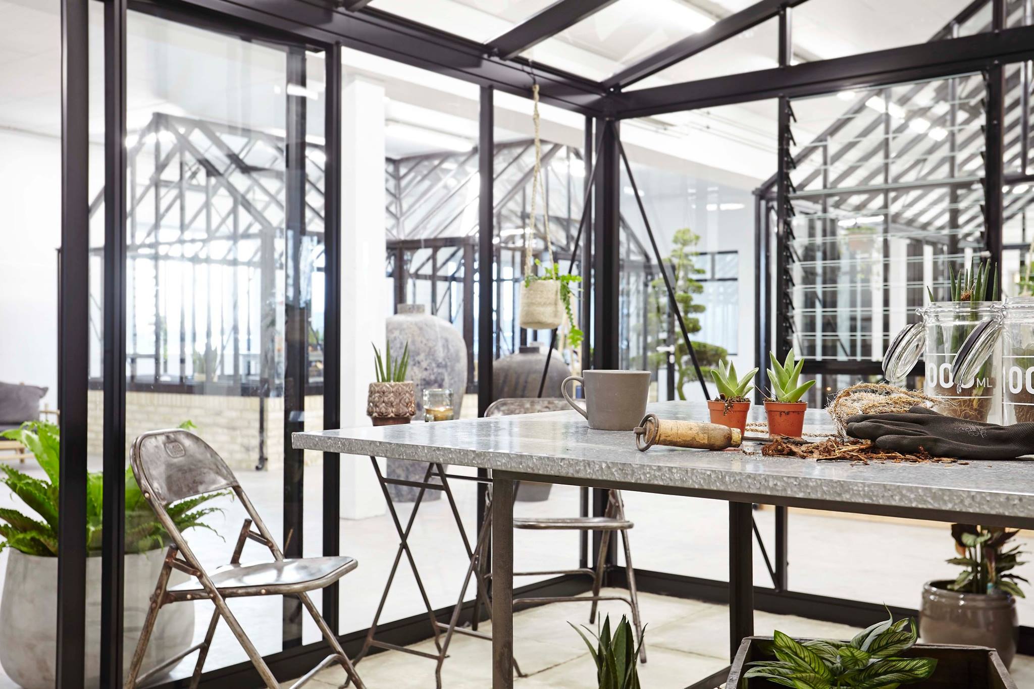 Jr Victorian Greenhouse - Jr Victorian™ 8X8X10.ft VIC 23 Glass Wall Greenhouse