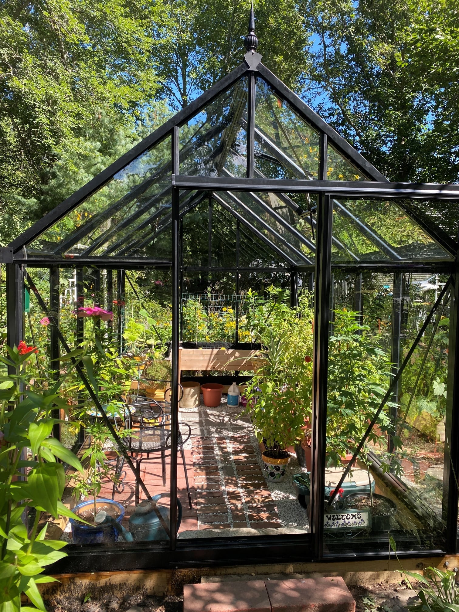 Jr Victorian Greenhouse - Jr Victorian™ 8X8X15.ft VIC 25 Glass Greenhouse
