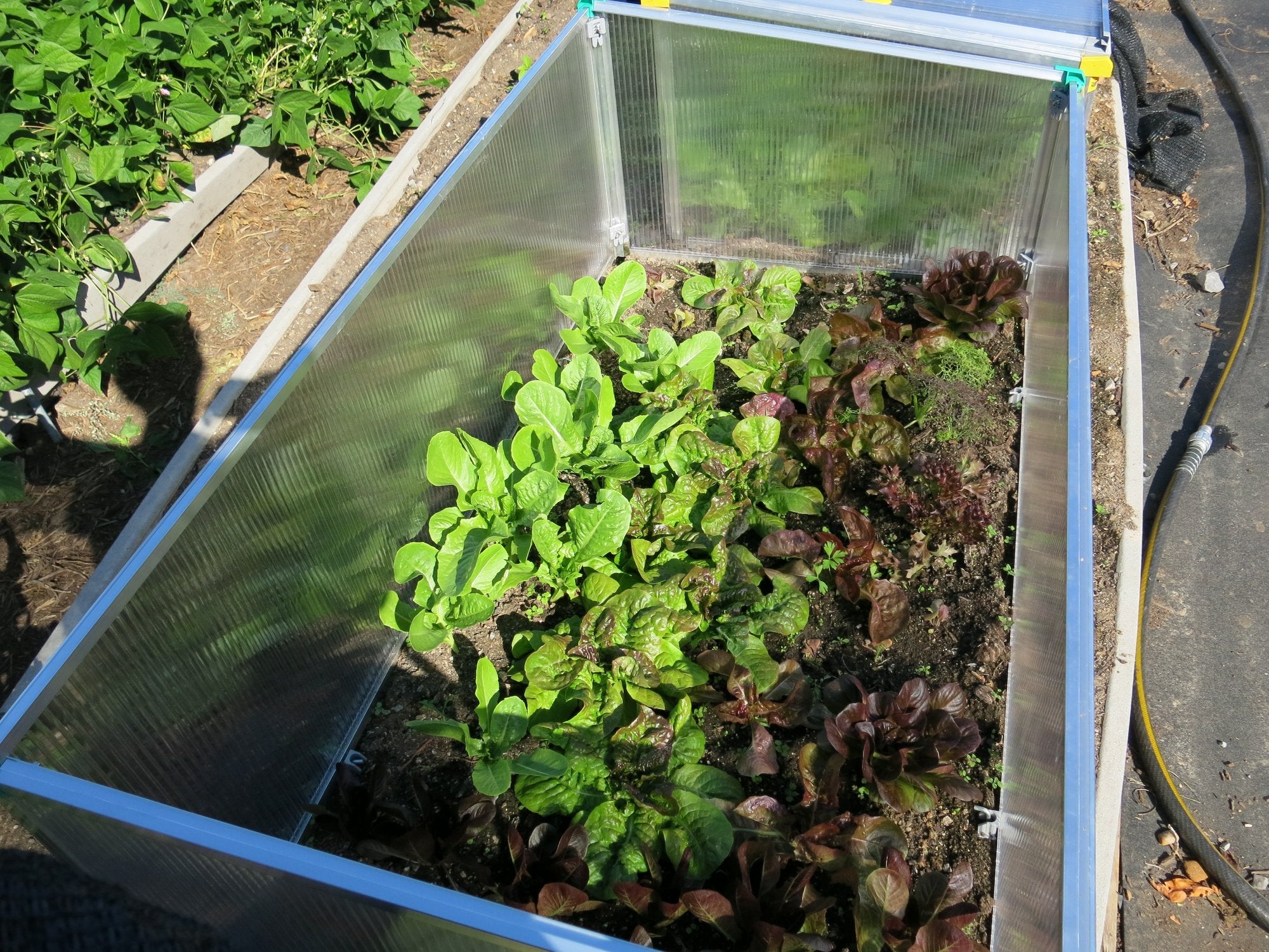 Juwel Cold Frame - BioStar 1500 Premium Cold-Frame/Mini Greenhouse