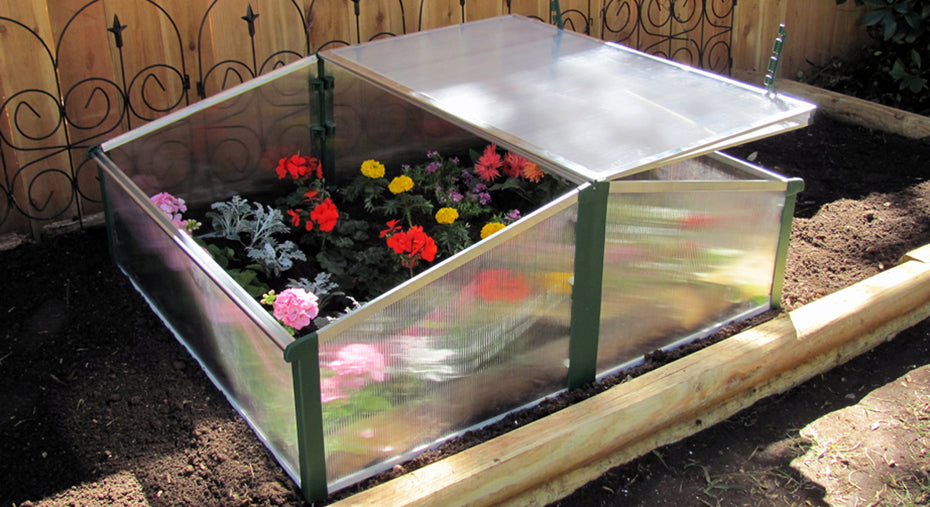 Juwel Cold Frame - Easy-Fix Premium Double Cold Frame/Mini Greenhouse