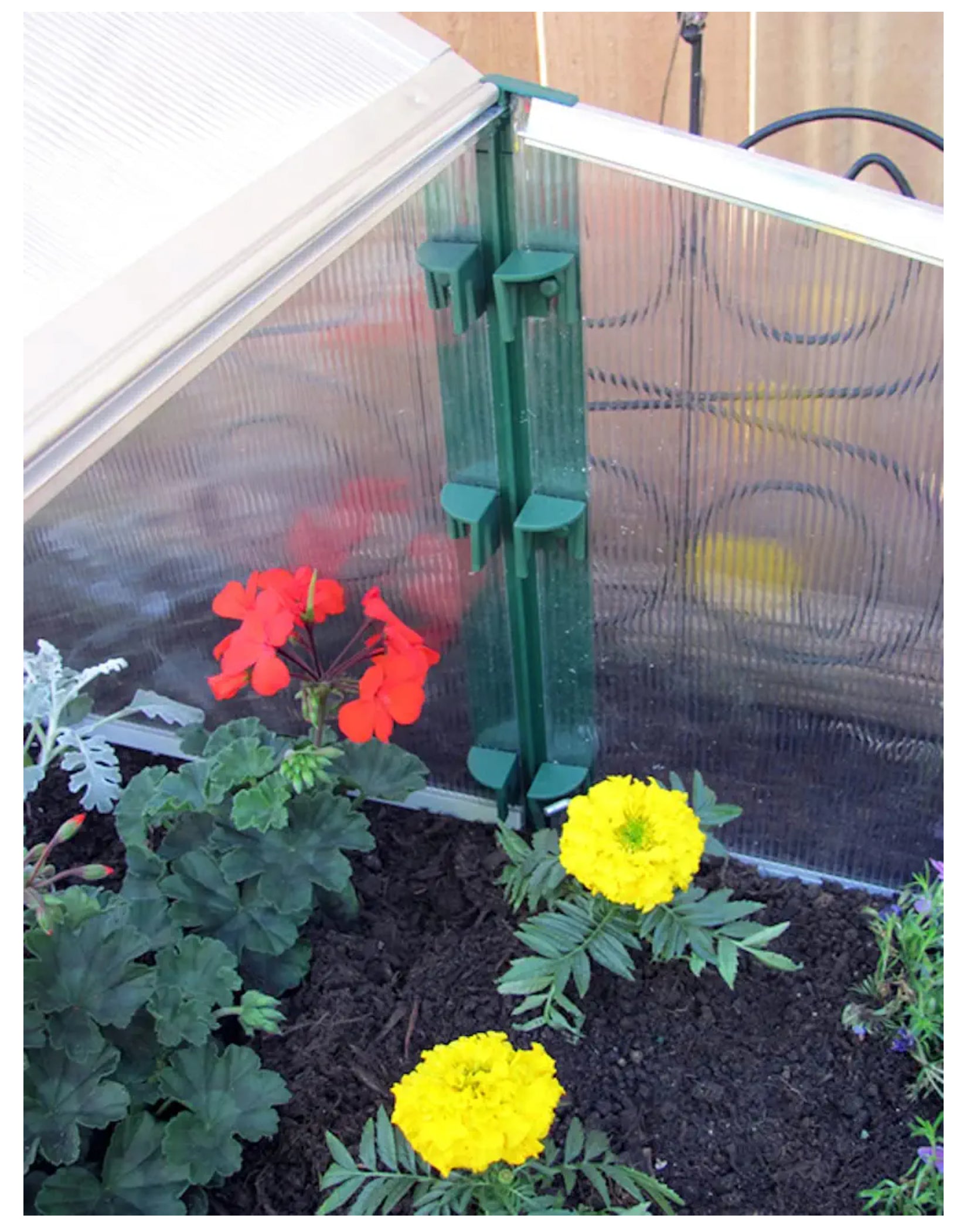 Juwel Cold Frame - Easy-Fix Premium Double Cold Frame/Mini Greenhouse