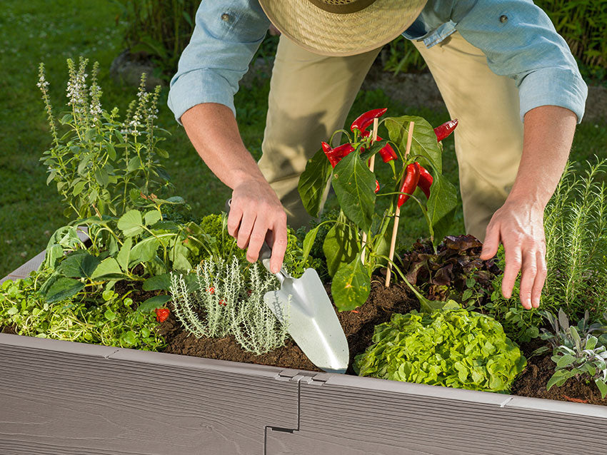 Juwel Cold Frame - Kombi Raised Bed & Cold Frame Combination