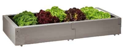 Timber Raised Bed