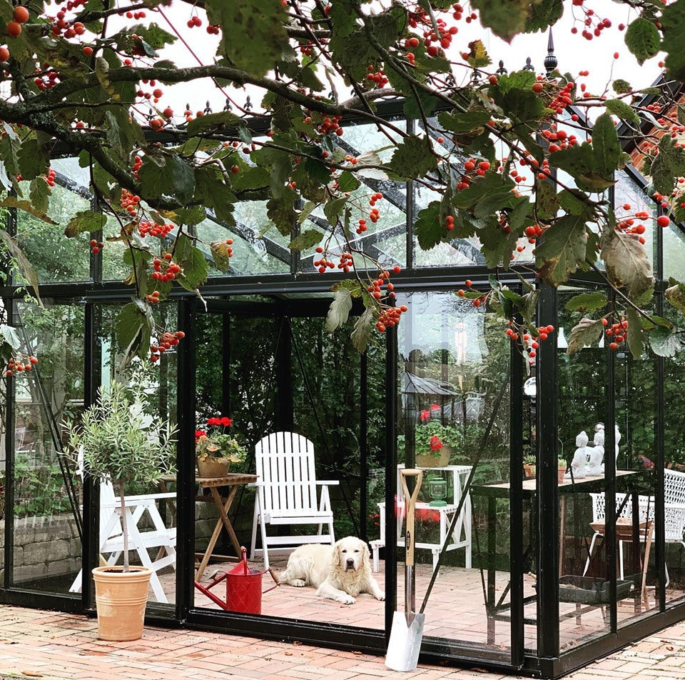 Modern Victorian Greenhouse - Modern™ Victorian 10X9X15.ft M34 Sloping Roof Greenhouse