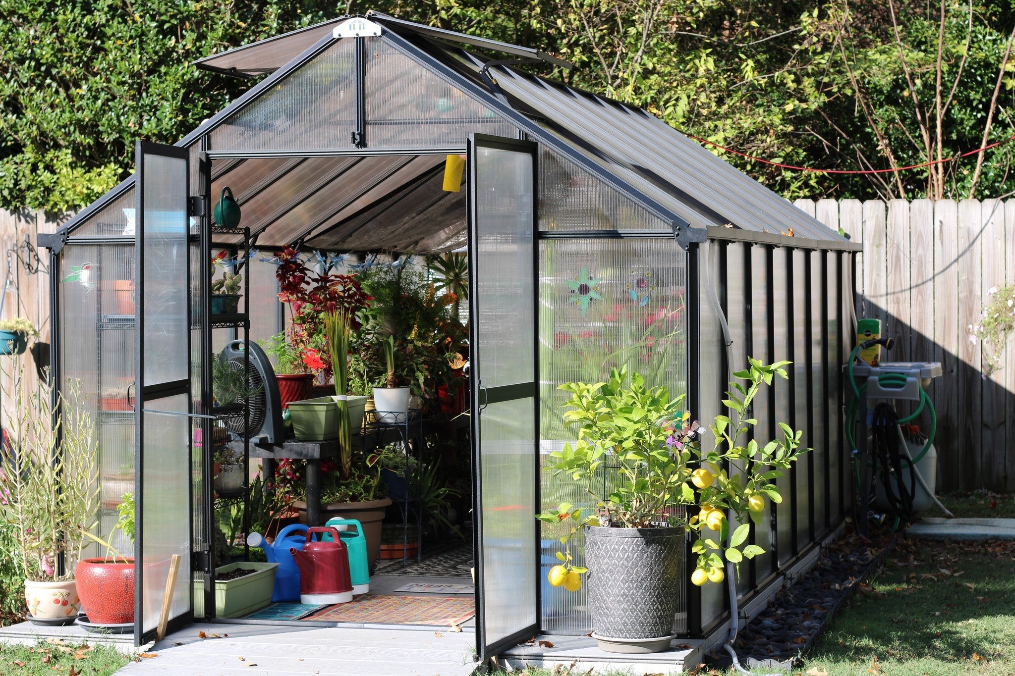 Monticello Greenhouse - [Exclusive] MONT™  8x8x20.ft Greenhouse DTG Edition