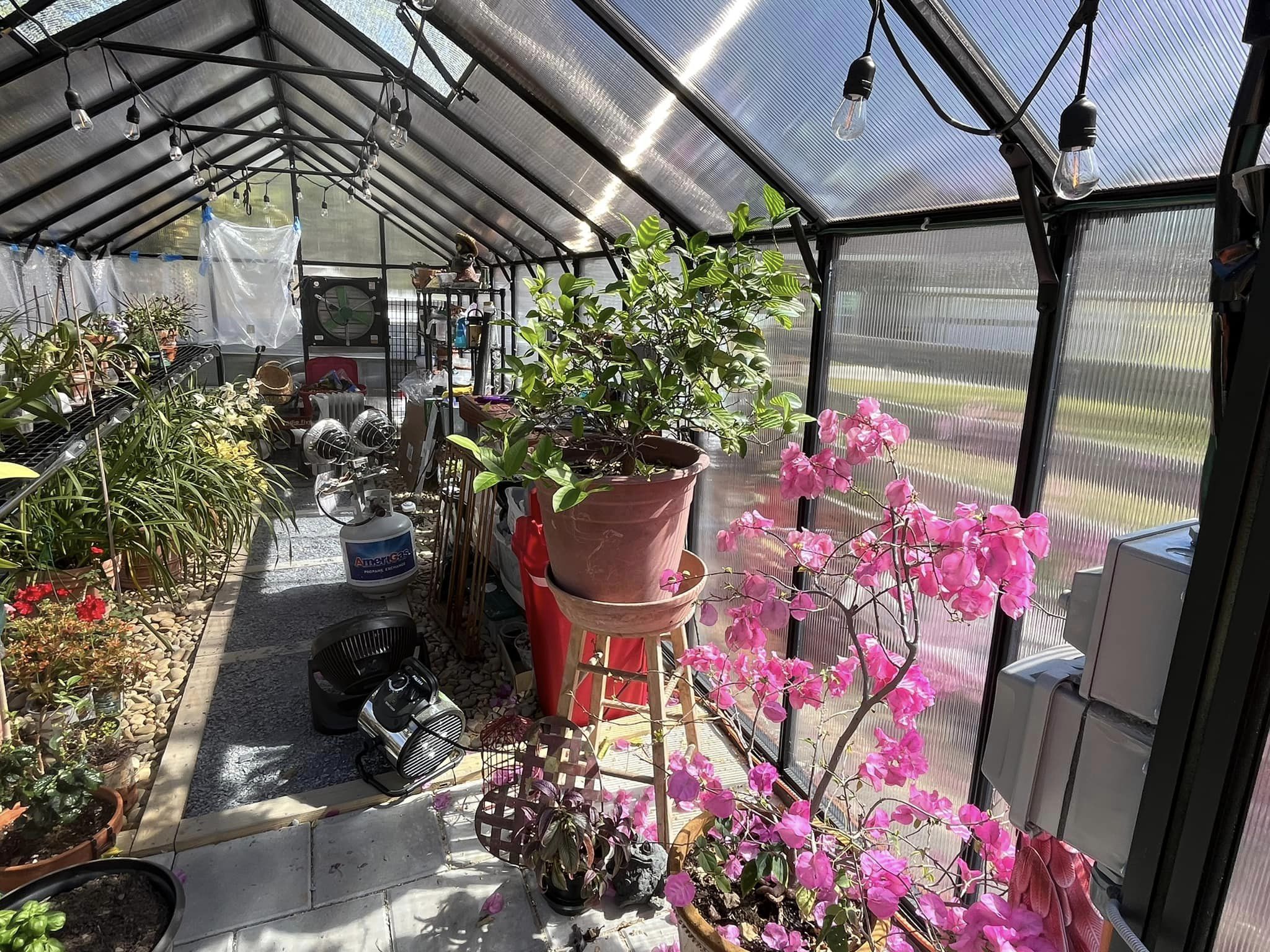Monticello Greenhouse - [Exclusive] MONT™  8x8x20.ft Greenhouse DTG Edition