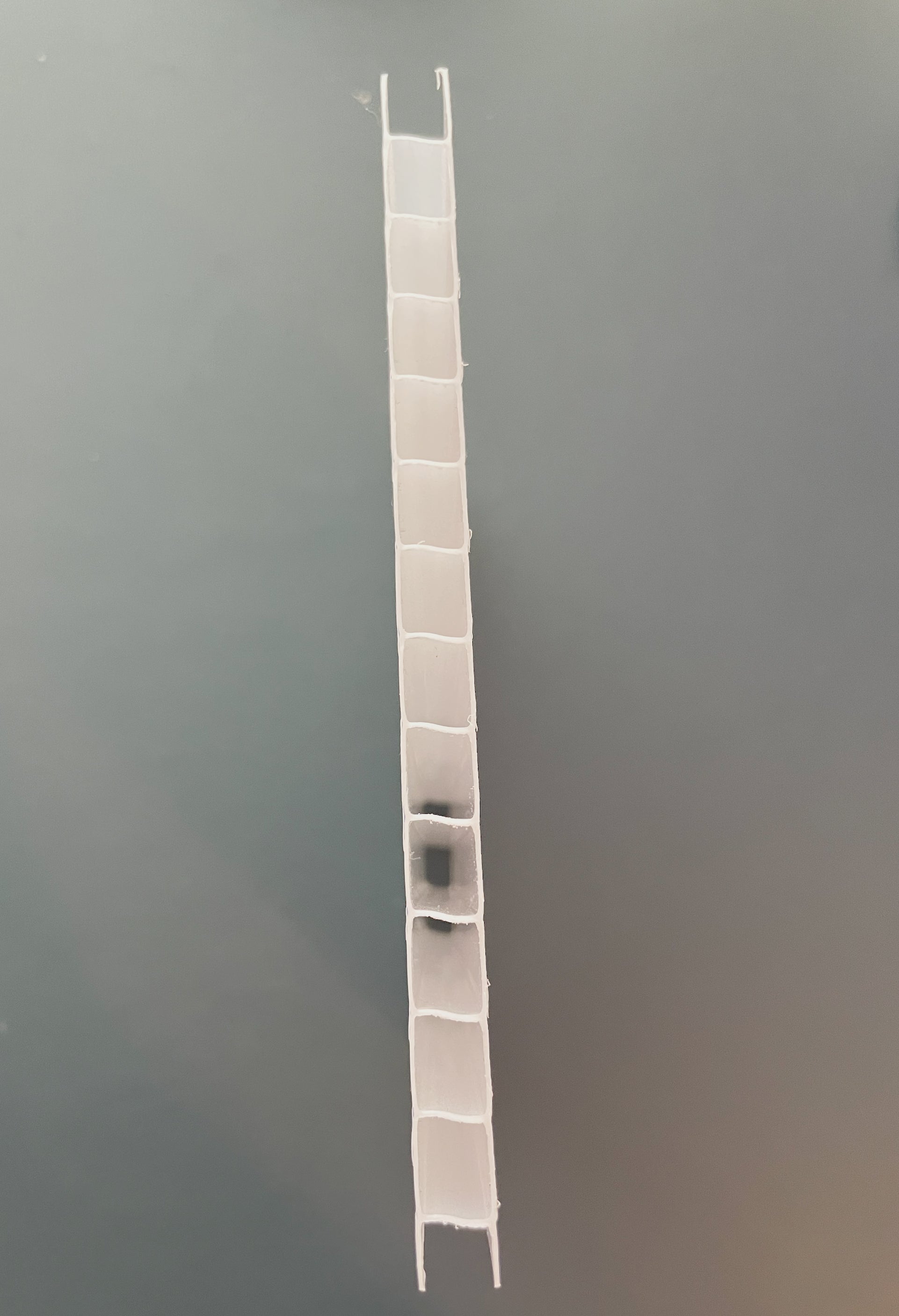 Polycarbonate Panel - 8mm (0.315