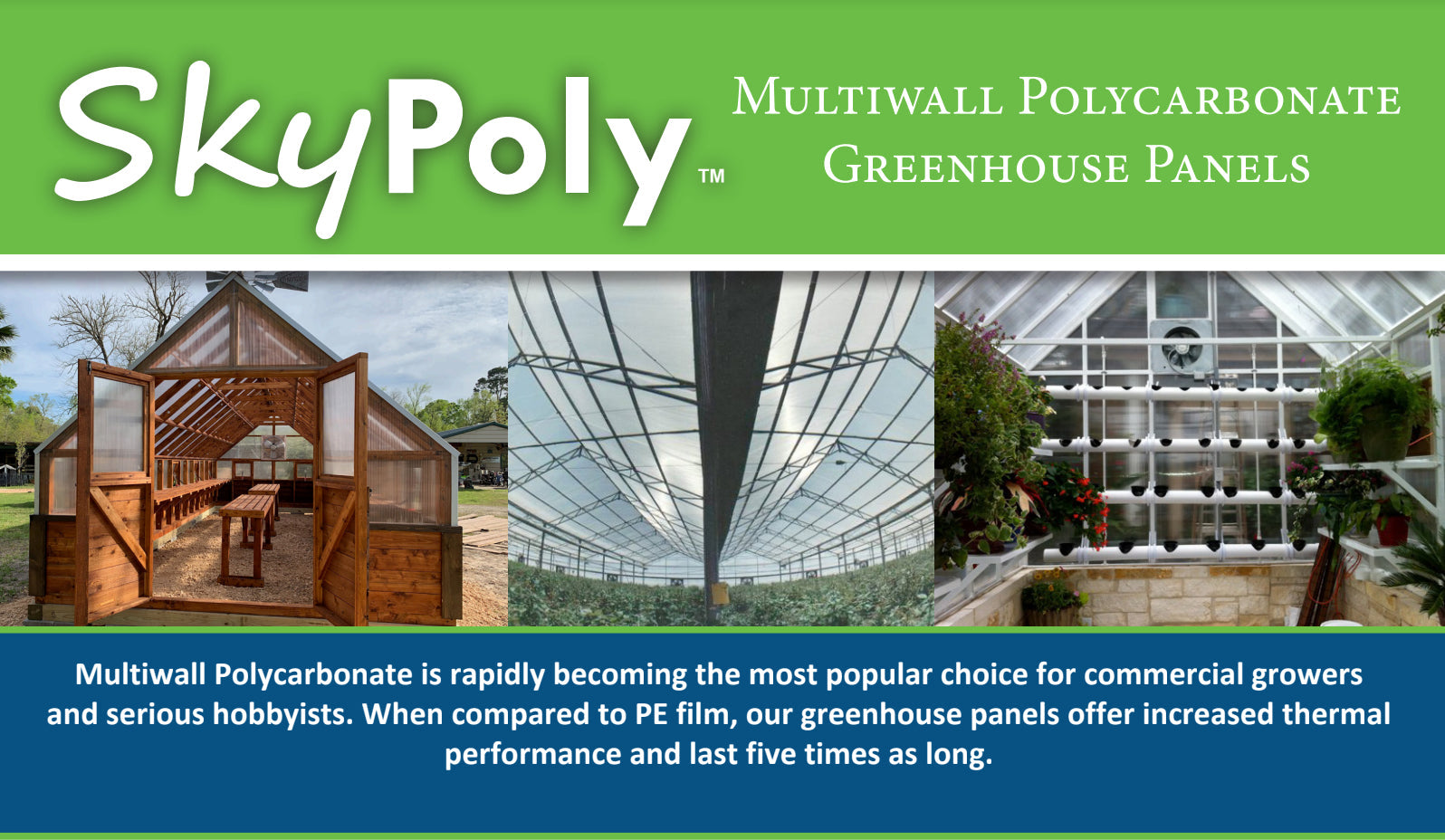 8mm Greenhouse Polycarbonate Sheets  4'x8' - Dive To Garden