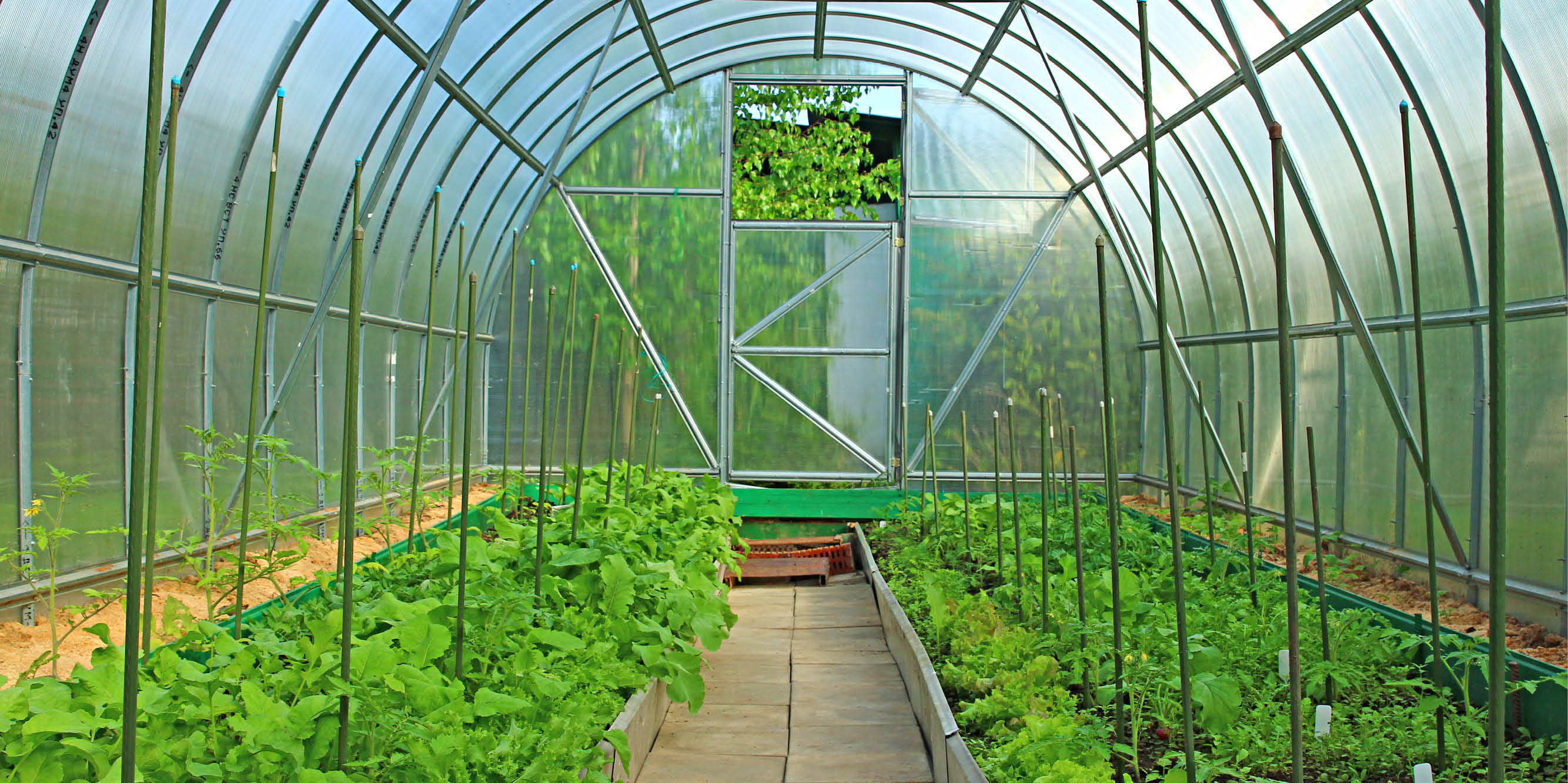 8mm Greenhouse Polycarbonate Sheets  4'x8' - Dive To Garden