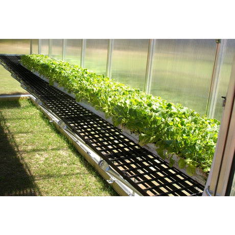 MONT™ 8x8x8.ft Premium Greenhouse Kit - Dive To Garden