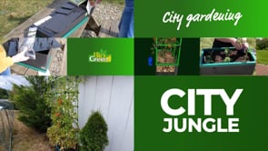 City Jungle Raised Bed Planter Box with Trellis