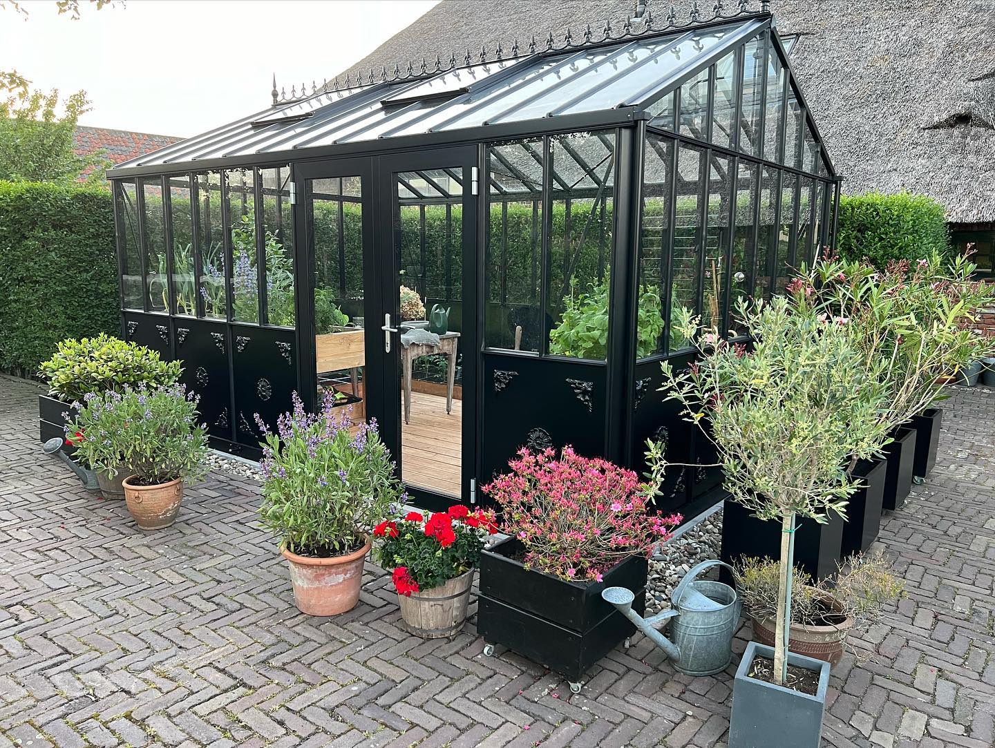 Retro Victorian Greenhouse - Retro.Victorian™ 10X9X15.ft VI36 Premium Greenhouse