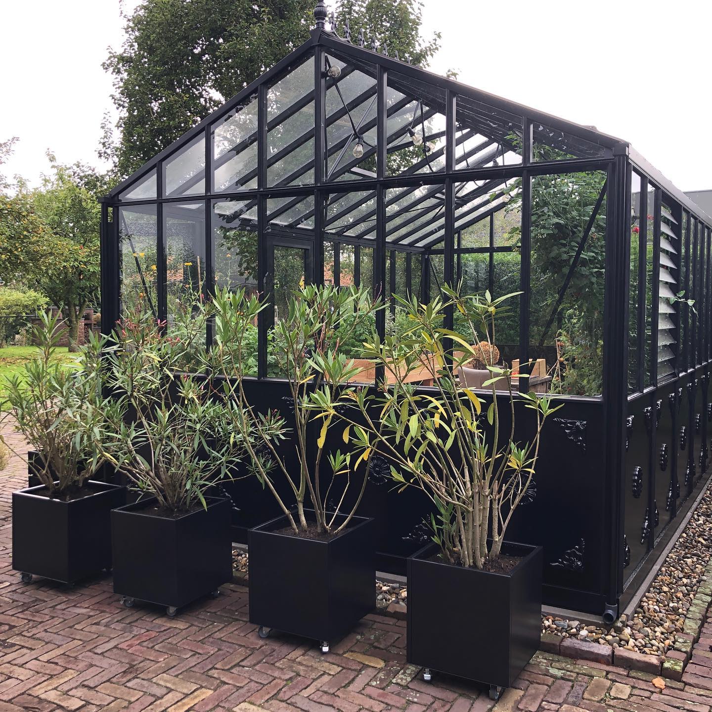 Retro Victorian Greenhouse - Retro.Victorian™ 10X9X15.ft VI36 Premium Greenhouse