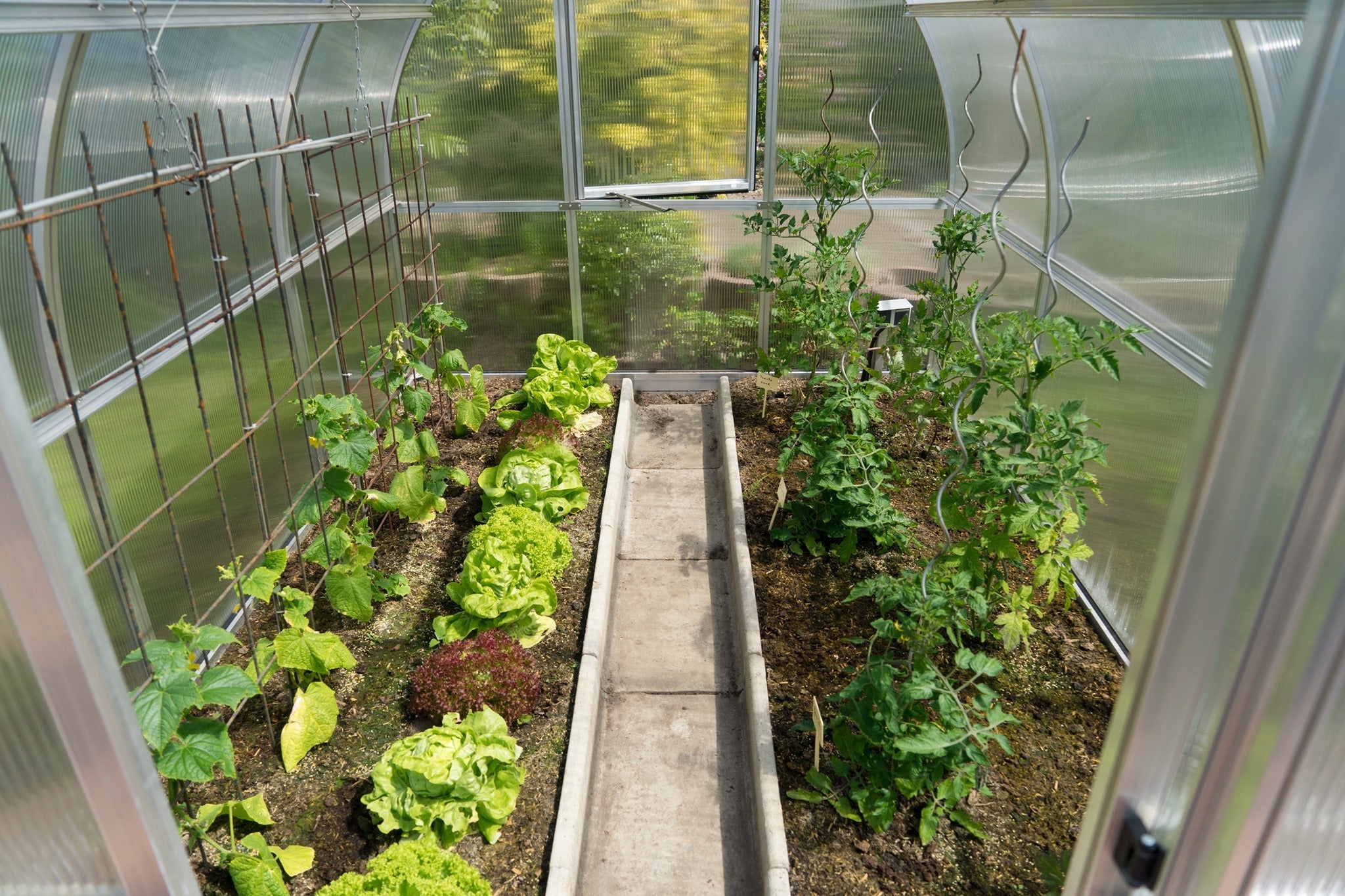 RIGA S Greenhouse - RIGA 3S™ 8X7X10.ft Greenhouse/Special Kit