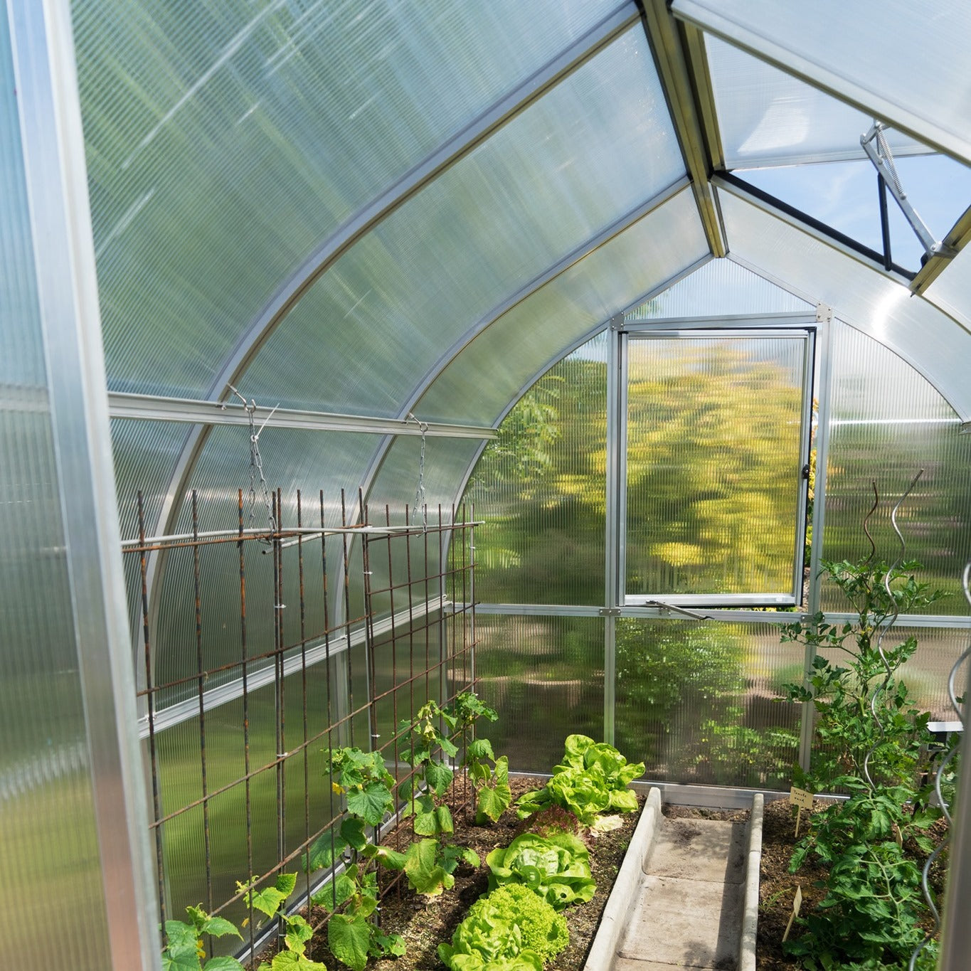 RIGA S Greenhouse - RIGA 4S™ 8X7X14.ft Greenhouse/Special Kit