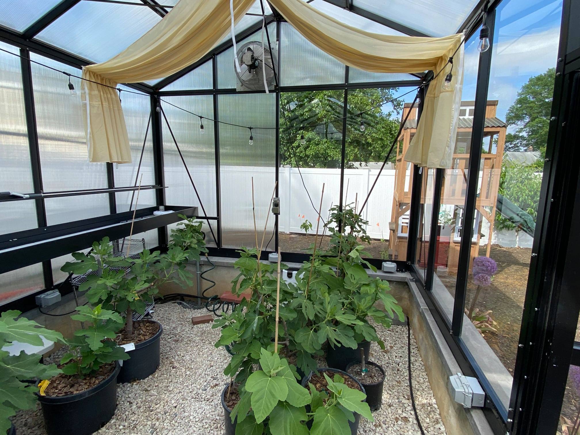 Royal Victorian Greenhouse - Royal Victorian™ 10X9X20.ft VI36 Greenhouse