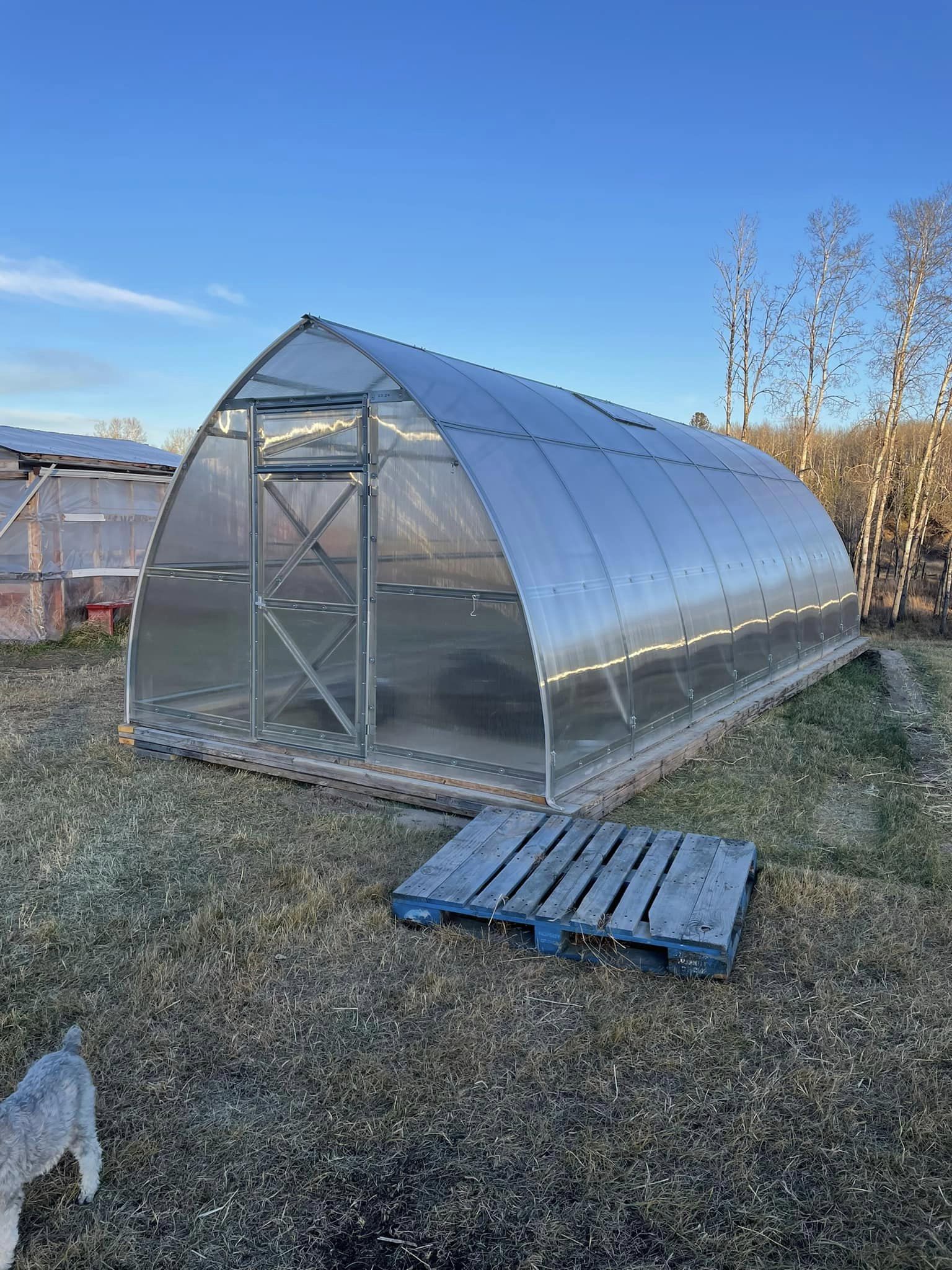 Sungrow Greenhouse - Sungrow 20™ 10X8X20.ft Greenhouse