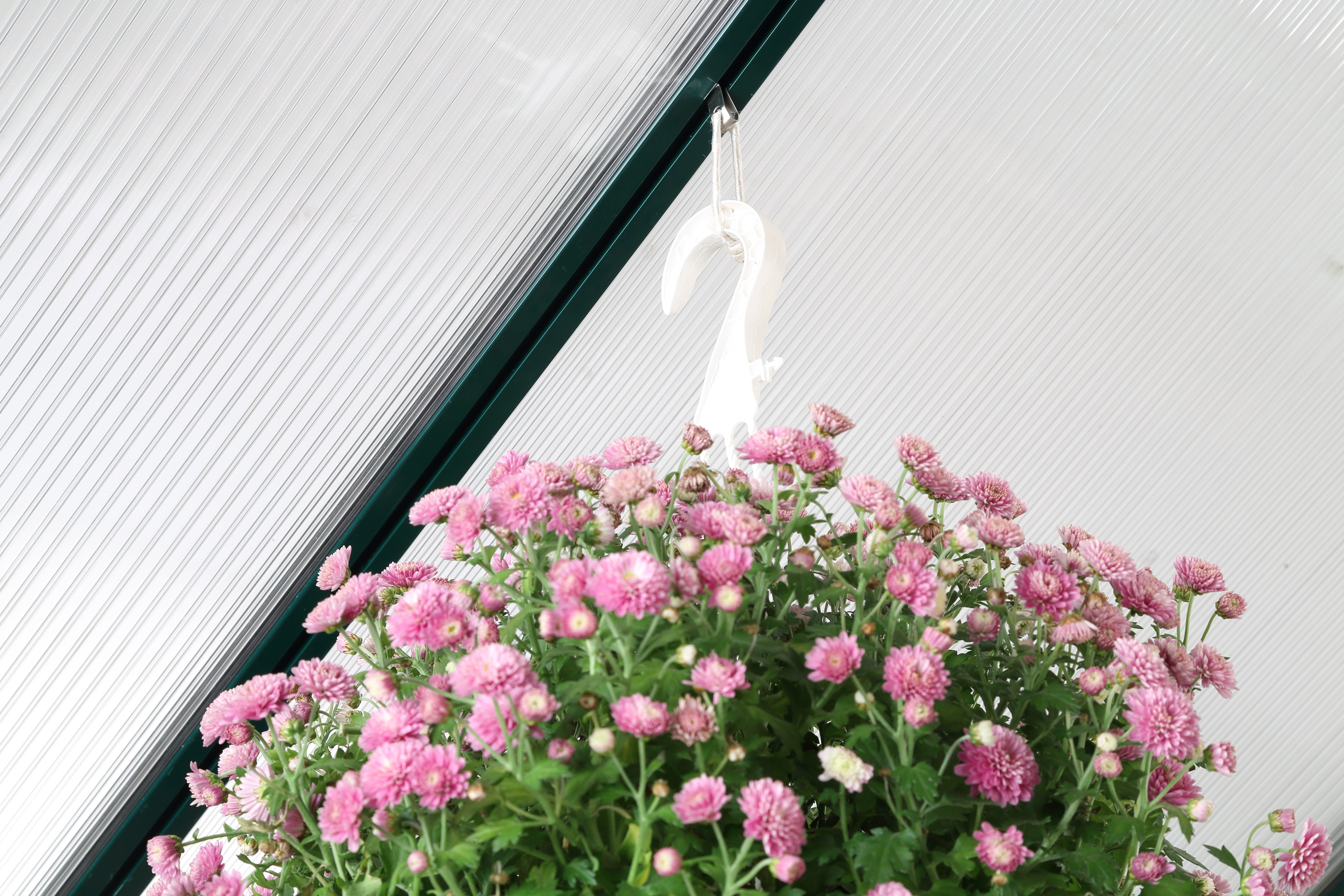 Spring Clips for Greenhouse Profiles (10 Pcs.)