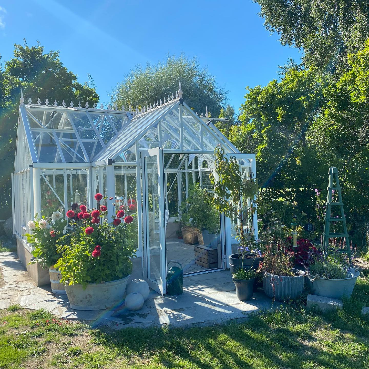 Victorian T-Shape - EOS™ 13X10X13.ft T-Shaped Greenhouse Ground Edition