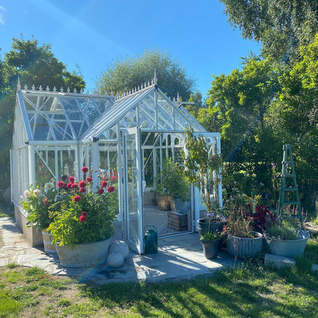 Victorian T-Shape - EOS™ 13X10X13.ft T-Shaped Greenhouse Ground Edition
