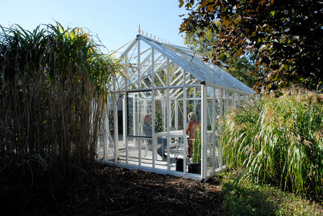 Victorian T-Shape - EOS™ 13X10X13.ft T-Shaped Greenhouse Ground Edition
