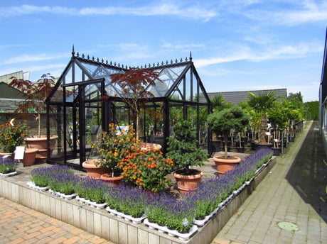 Victorian T-Shape - Jr Victorian™ 10X8X13.ft Orangerie Greenhouse