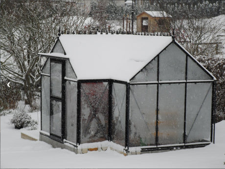 Victorian T-Shape - Jr Victorian™ 10X8X13.ft Orangerie Greenhouse