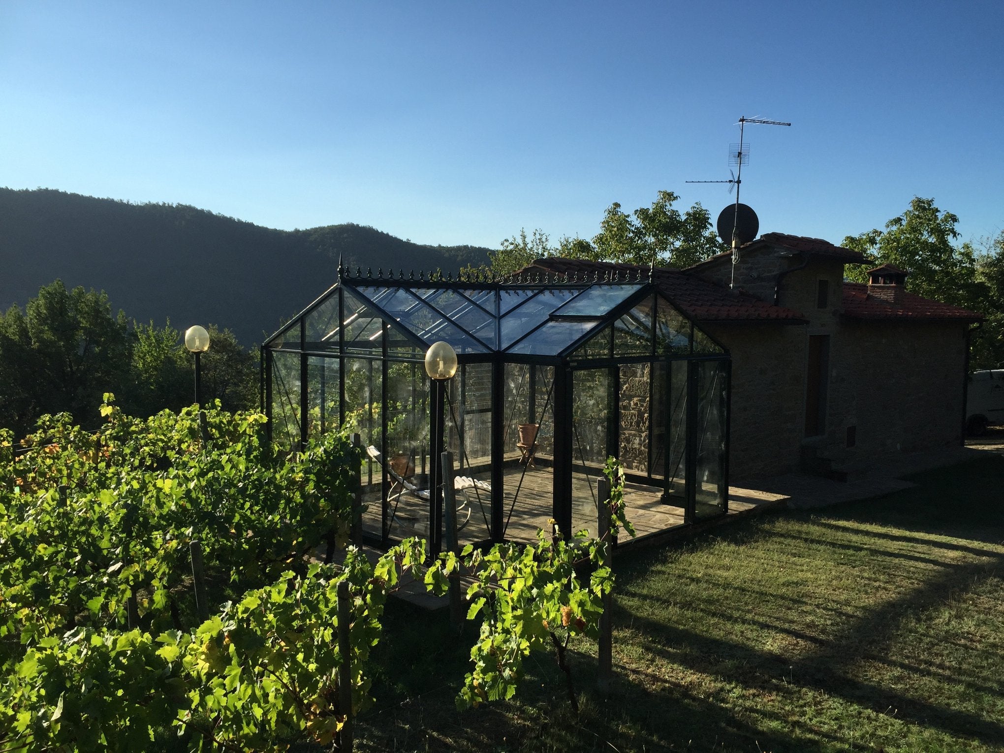 Victorian T-Shape - Royal Victorian™  16X9X13.ft Orangerie Greenhouse