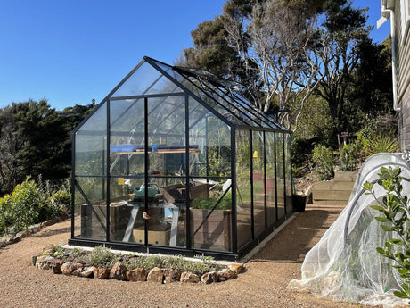 Winter Gardenz Heavy Duty Black Glass Greenhouse
