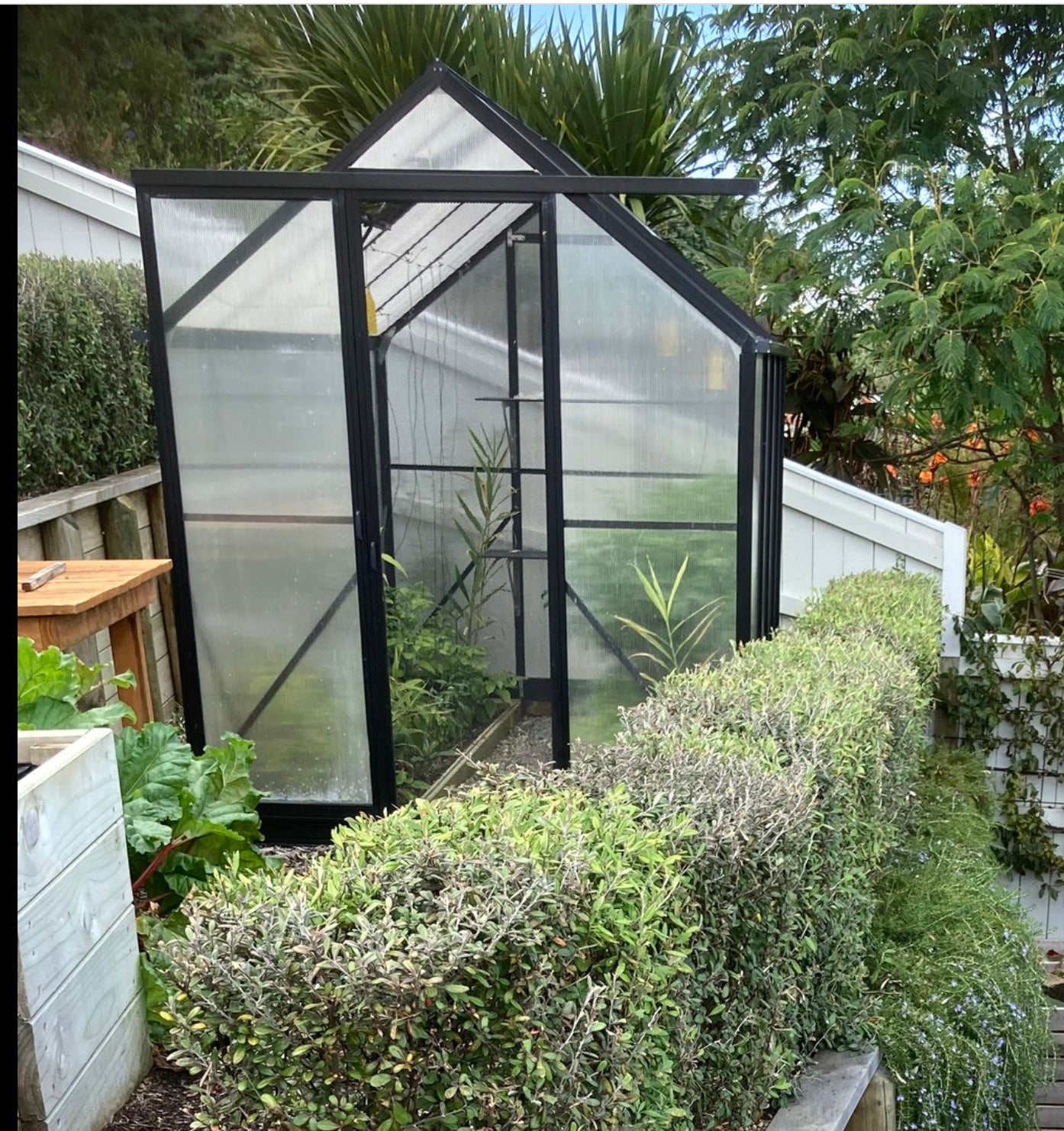 Winter Gardenz Greenhouse - Winter Gardenz™ Heavy Duty 6x7x8 Black Greenhouse