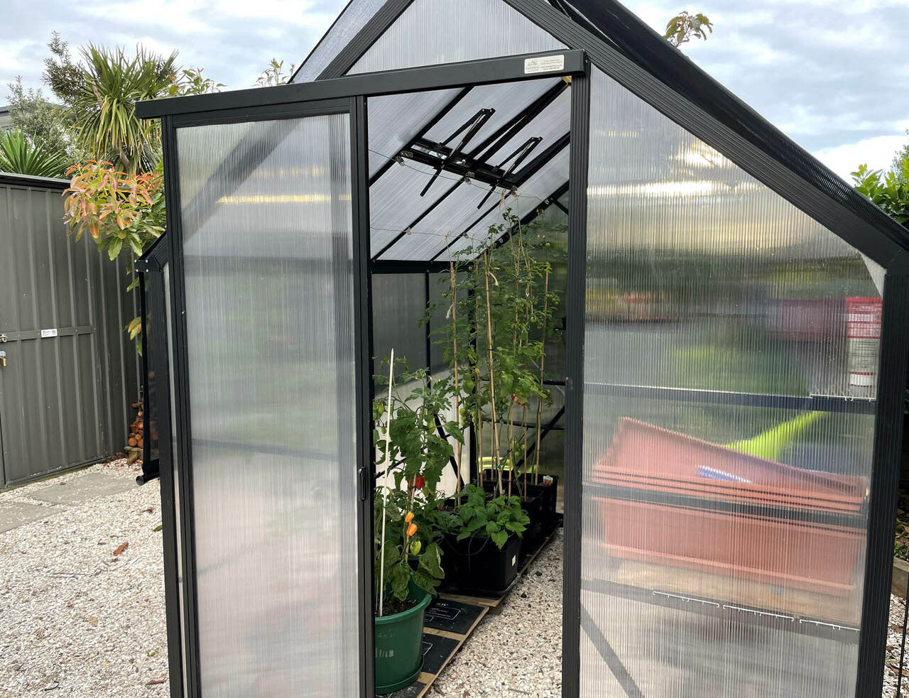 Winter Gardenz Greenhouse - Winter Gardenz™ Heavy Duty 6x7x8 Black Greenhouse