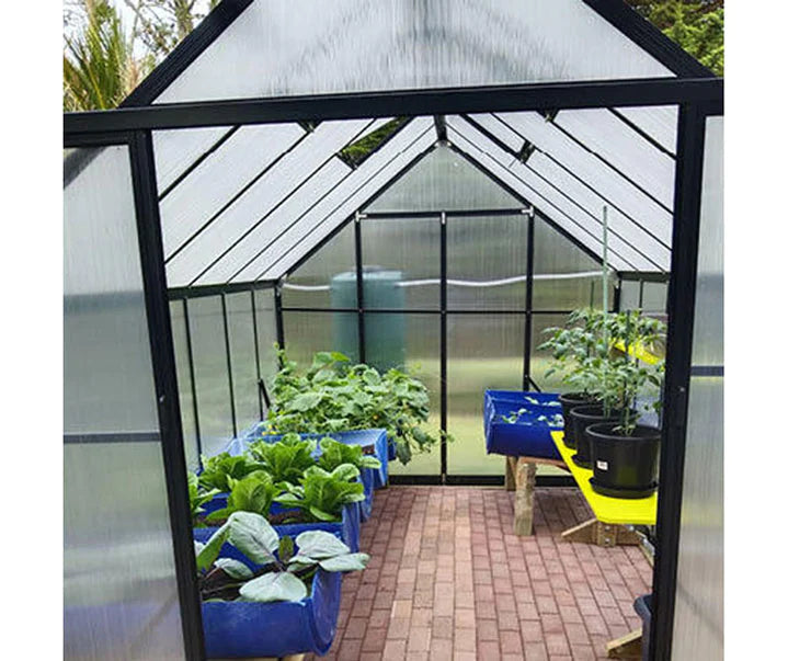 Winter Gardenz Greenhouse - Winter Gardenz™ Heavy Duty 6x7x8 Black Greenhouse