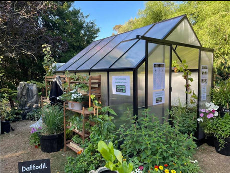 Winter Gardenz™ Heavy-Duty 8x8x10 Black Greenhouse