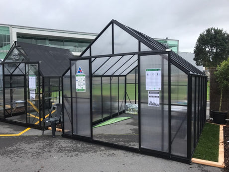 Winter Gardenz Greenhouse - Winter Gardenz™ Heavy Duty 8x8x10 Black Greenhouse