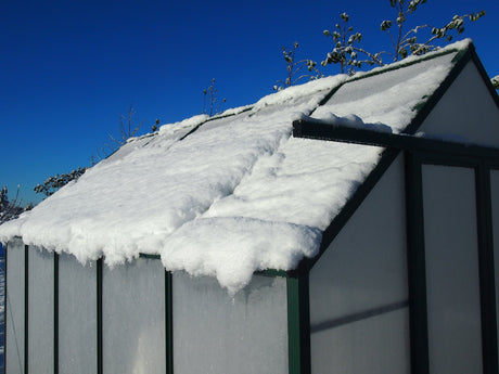 Winter Gardenz Greenhouse - Winter Gardenz™ Heavy Duty 8x8x10 Black Greenhouse