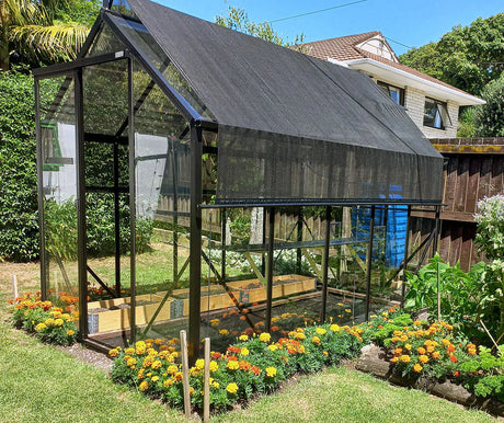 Winter Gardenz Greenhouse - Winter Gardenz™ Heavy Duty 8x8x10 Black Greenhouse