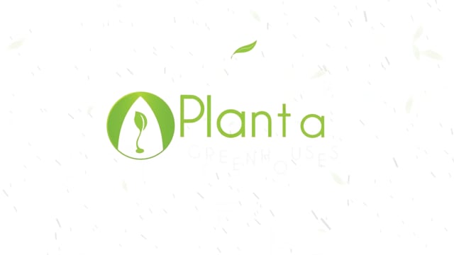 Planta