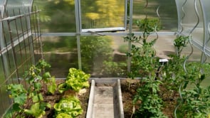 RIGA 2S™ 7X7X8.ft Poly Hobby Greenhouse