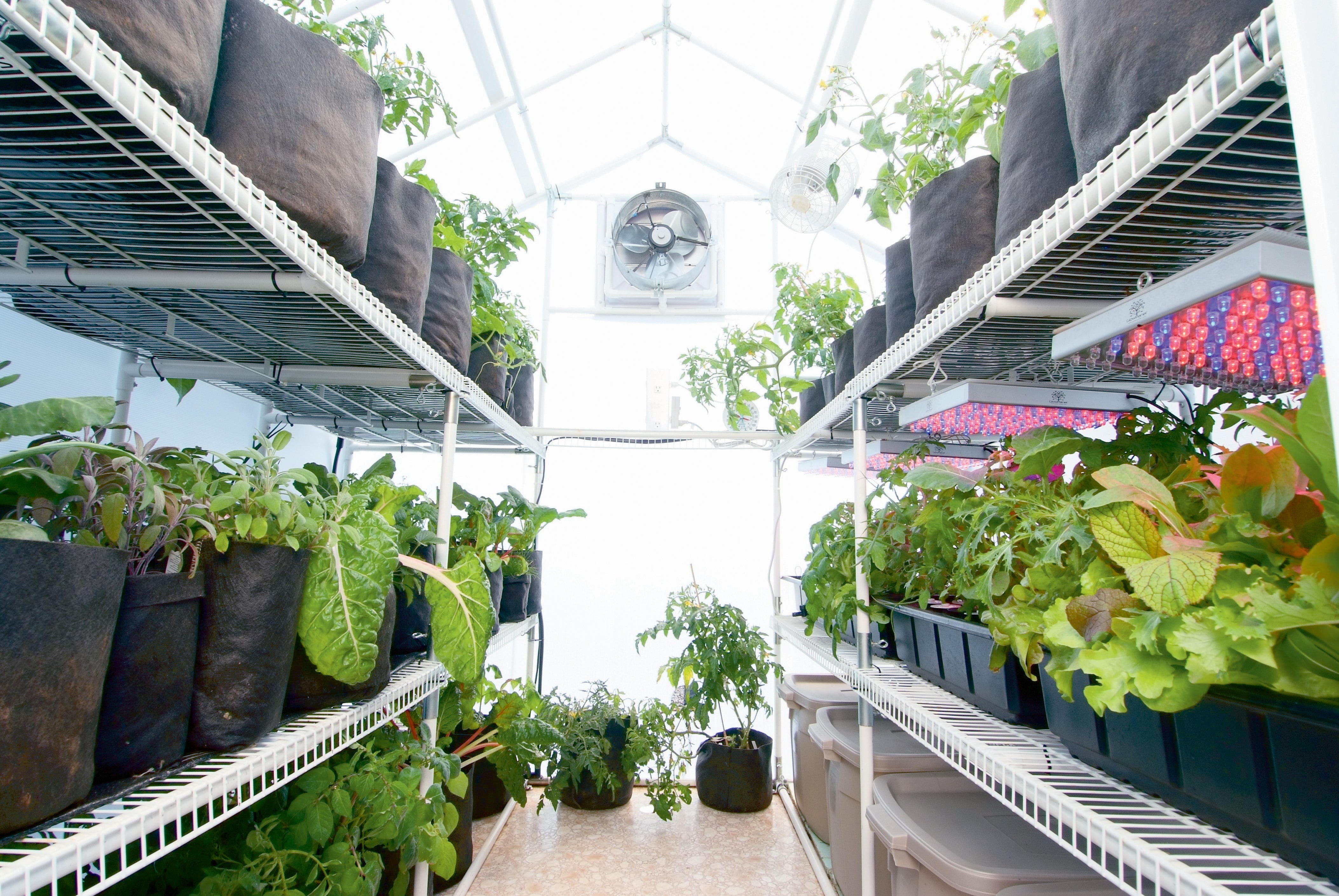 Garden Master™  8x8x16.ft Heat Efficient Greenhouse - Dive To Garden