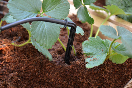 Palram-Canopia® Drip Irrigation Kit - Dive To Garden