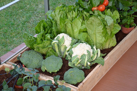 Palram-Canopia® Drip Irrigation Kit - Dive To Garden